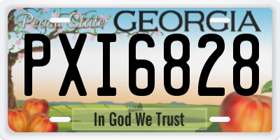 GA license plate PXI6828
