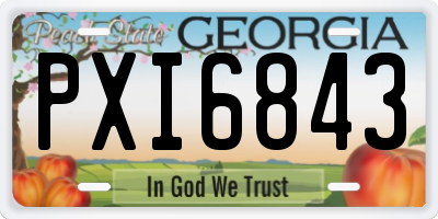 GA license plate PXI6843