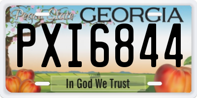 GA license plate PXI6844