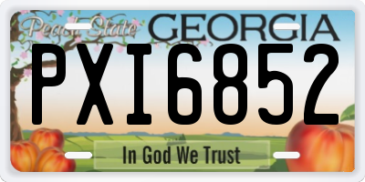GA license plate PXI6852