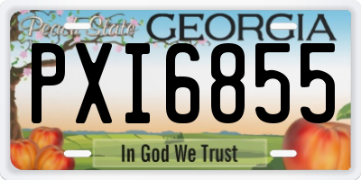 GA license plate PXI6855