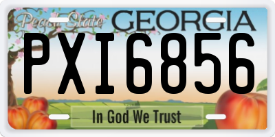 GA license plate PXI6856