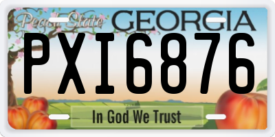 GA license plate PXI6876