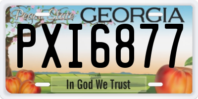 GA license plate PXI6877