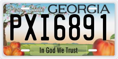 GA license plate PXI6891