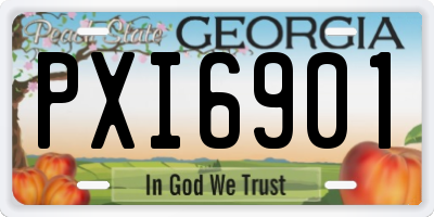 GA license plate PXI6901