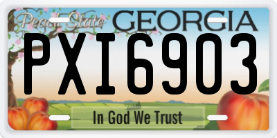 GA license plate PXI6903