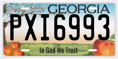GA license plate PXI6993
