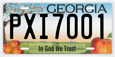 GA license plate PXI7001