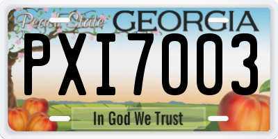 GA license plate PXI7003