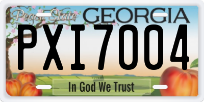 GA license plate PXI7004