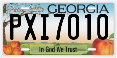 GA license plate PXI7010