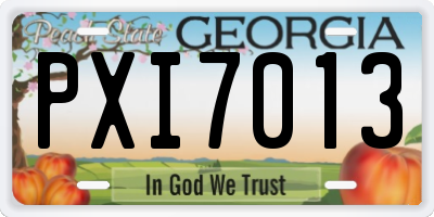 GA license plate PXI7013