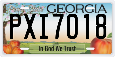 GA license plate PXI7018