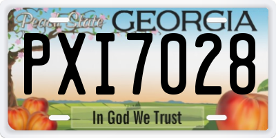 GA license plate PXI7028