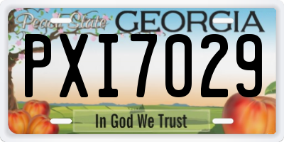 GA license plate PXI7029