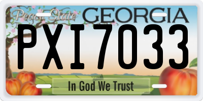 GA license plate PXI7033