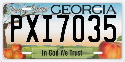 GA license plate PXI7035