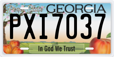 GA license plate PXI7037