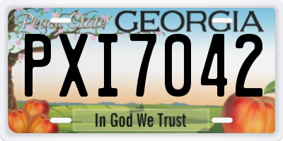 GA license plate PXI7042