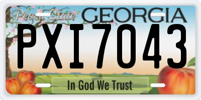 GA license plate PXI7043