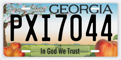 GA license plate PXI7044