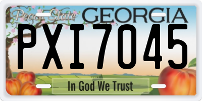 GA license plate PXI7045