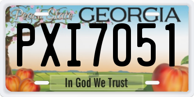 GA license plate PXI7051