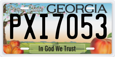 GA license plate PXI7053