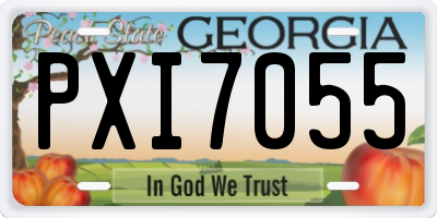 GA license plate PXI7055