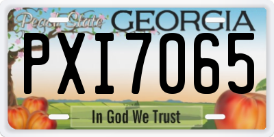 GA license plate PXI7065