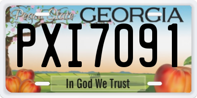 GA license plate PXI7091