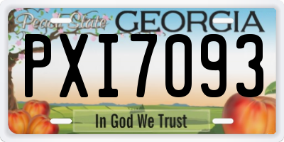 GA license plate PXI7093