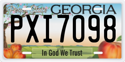 GA license plate PXI7098