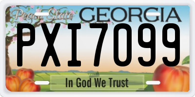 GA license plate PXI7099
