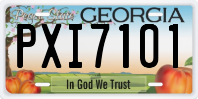GA license plate PXI7101
