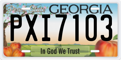 GA license plate PXI7103