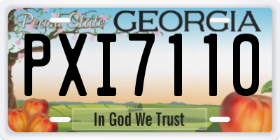 GA license plate PXI7110