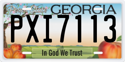 GA license plate PXI7113