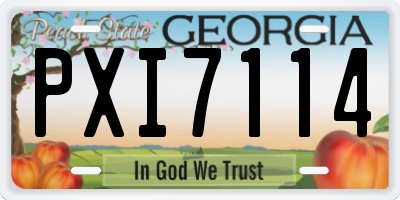 GA license plate PXI7114