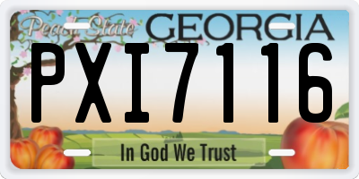 GA license plate PXI7116