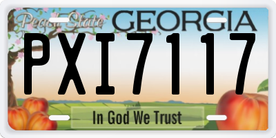 GA license plate PXI7117