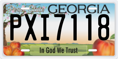 GA license plate PXI7118