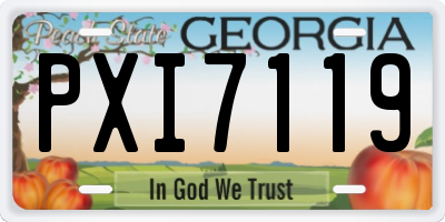 GA license plate PXI7119