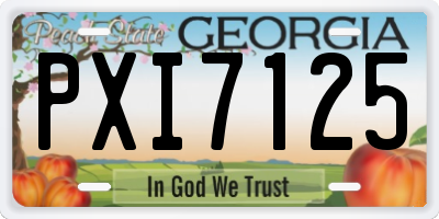 GA license plate PXI7125