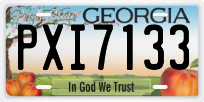 GA license plate PXI7133