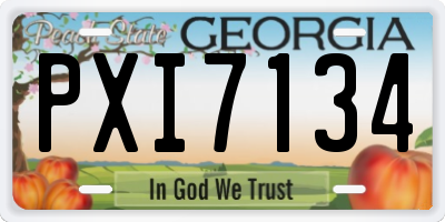 GA license plate PXI7134