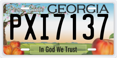 GA license plate PXI7137
