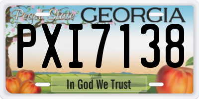 GA license plate PXI7138