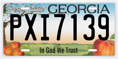 GA license plate PXI7139